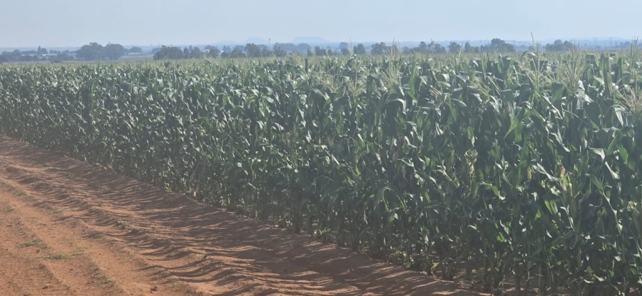 0 Bedroom Property for Sale in Hennenman Rural Free State